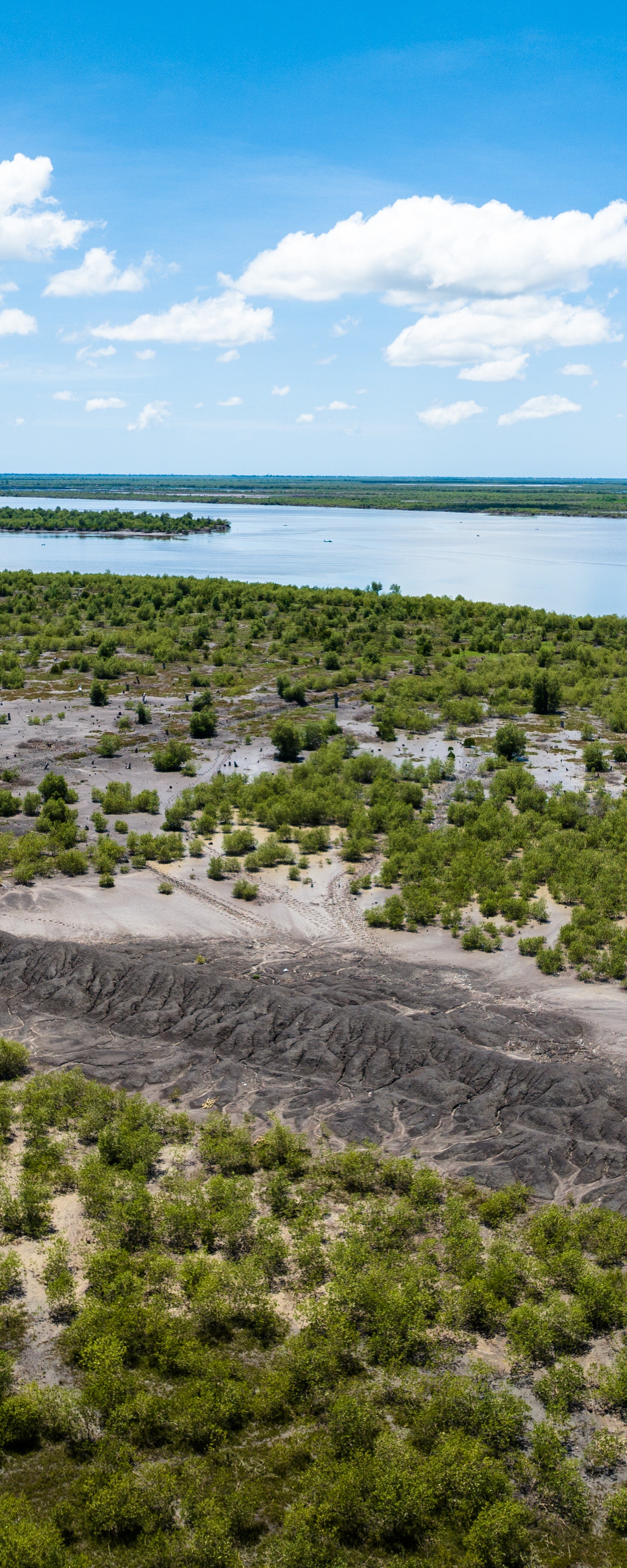 MozBlue-Removall-Franck-Vogel-HD-31